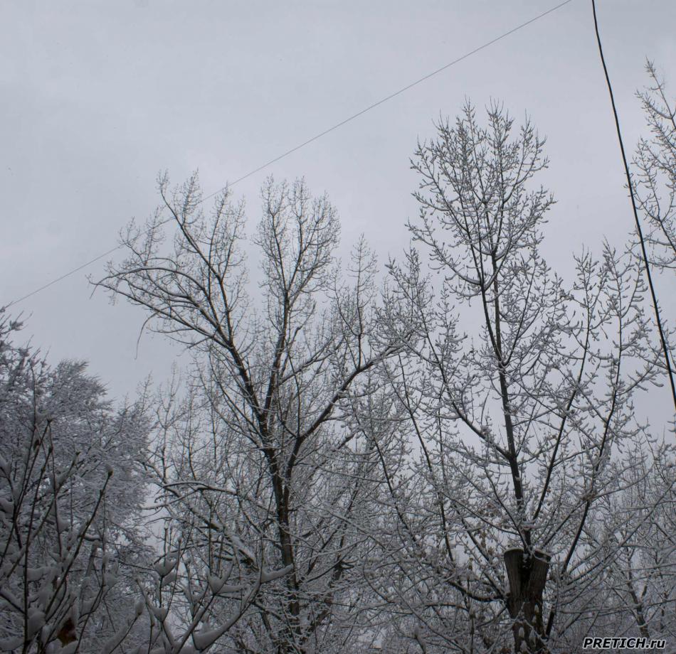 Алма-Ата, снег в марте 2022 г.