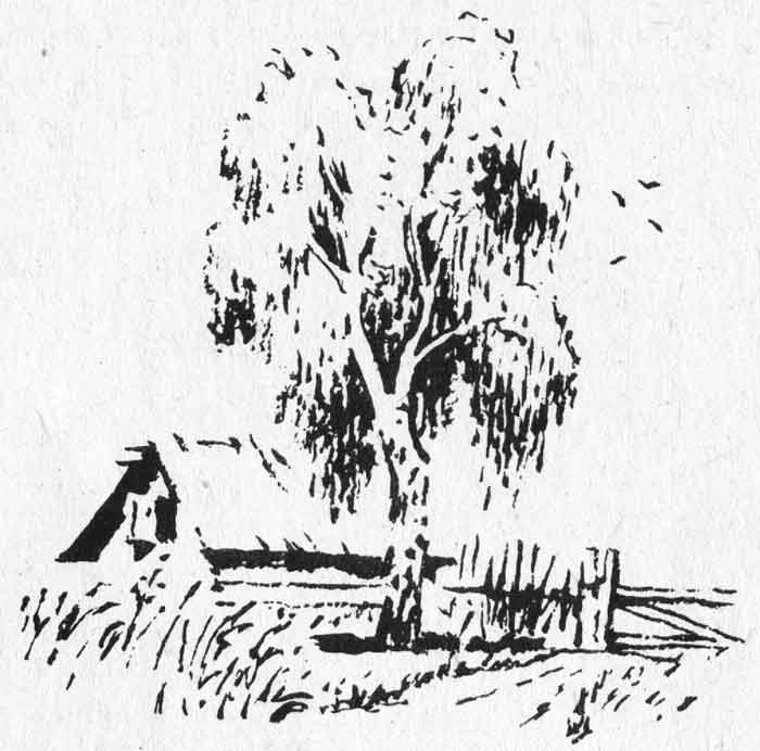 иллюстрации О. Верейского в книгах