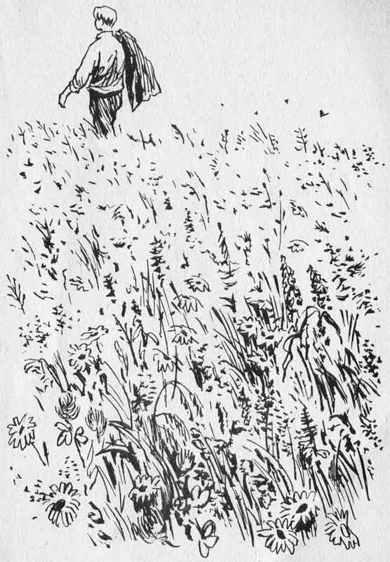 поле, книга Рассказ танкиста, Твардовский