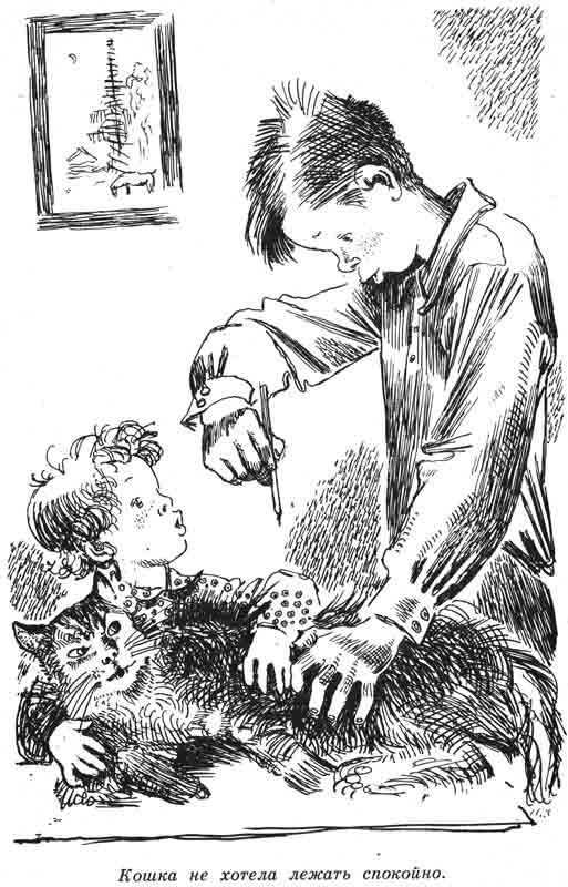 как нарисовать кошку с натуры?