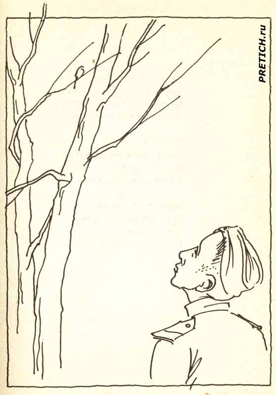 Ваншенкин военные стихи, рисунки