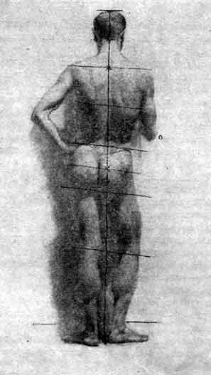 построение формы рисунка обнаженная натура