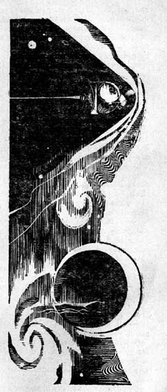 Звездолет прямого луча в книге Час быка