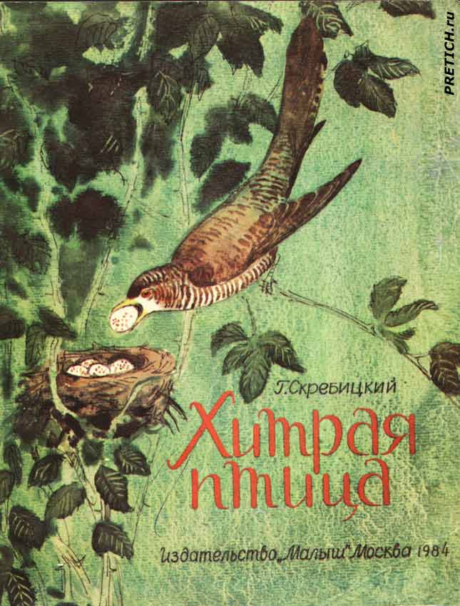 Г. Скребицкий Хитрая птица иллюстрации