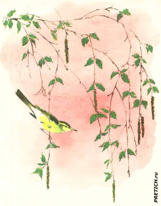 Георгий Александрович Скребицкий детские книги