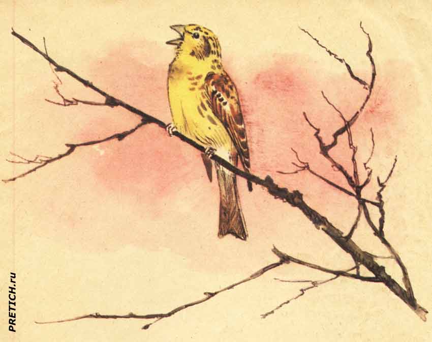 Рисунки художника А. Келейникова для детей