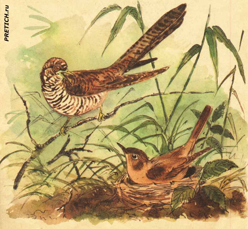 А. Келейников, иллюстрации в книгах для детей